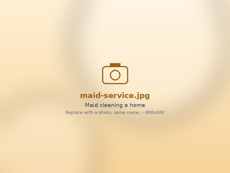Maid cleaning a living room